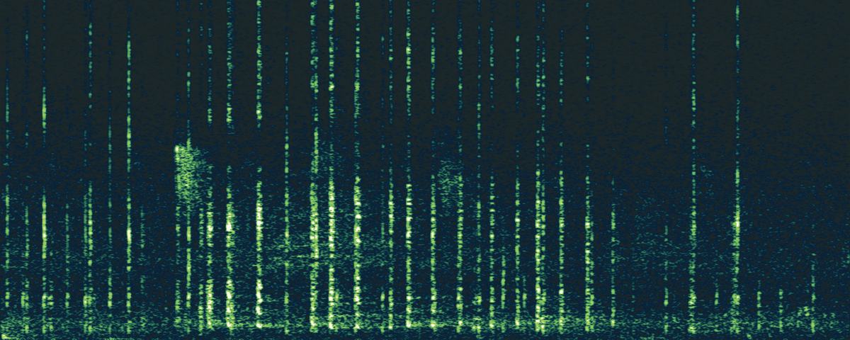 Espectrograma completo de la llamada del guácharo